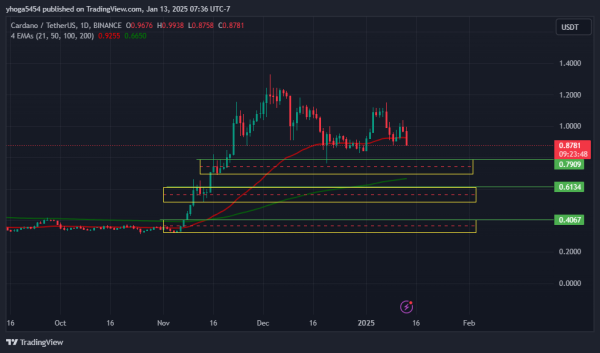 Belajar Trading Crypto Langkat, Raih Keuntungan Maksimal! - Gambar 3