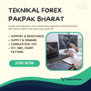 Belajar Trading Forex Pakpak Bharat